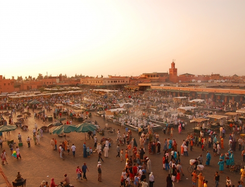 Green-acres.com is launching its services in Morocco