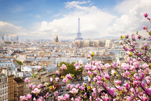 skyline of Paris city roofs with Eiffel Tower with blooming magnolia spring tree, Paris, France
