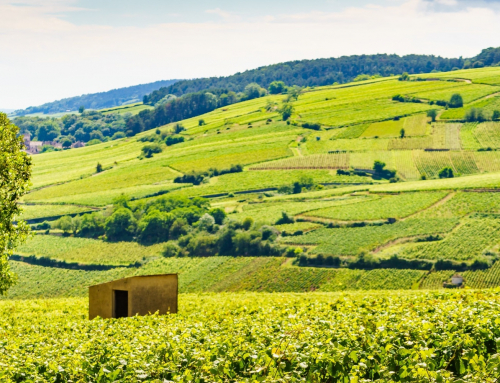 7 reasons to buy a home in Bourgogne-Franche-Comté